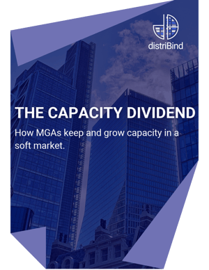 The Capacity Dividend Thumbnail (1)
