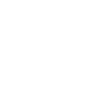 LINKEDIN ICON